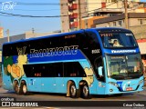 Transnorte - Transporte e Turismo Norte de Minas 88000 na cidade de Belo Horizonte, Minas Gerais, Brasil, por César Ônibus. Número da foto: #10103115.