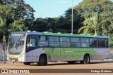 Viação Garcia 8893 na cidade de Maringá, Paraná, Brasil, por Rodrigo Matheus. Número da foto: #10102630.
