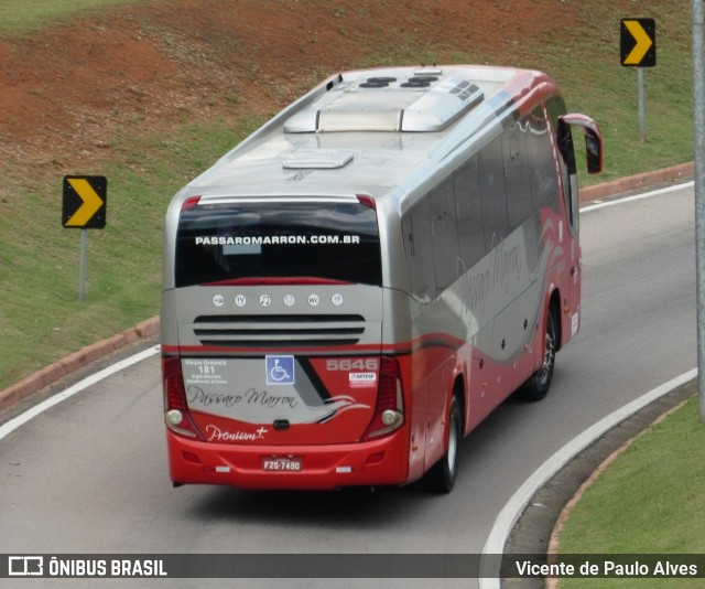 Empresa de Ônibus Pássaro Marron 5646 na cidade de São José dos Campos, São Paulo, Brasil, por Vicente de Paulo Alves. Número da foto: #10106319.