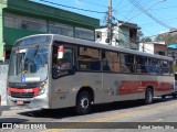 Transwolff Transportes e Turismo 7 8725 na cidade de São Paulo, São Paulo, Brasil, por Rafael Santos Silva. Número da foto: #:id.