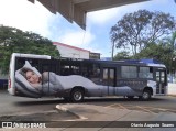 Viação Garcia 81077 na cidade de Marialva, Paraná, Brasil, por Otavio Augusto  Soares. Número da foto: #10108989.