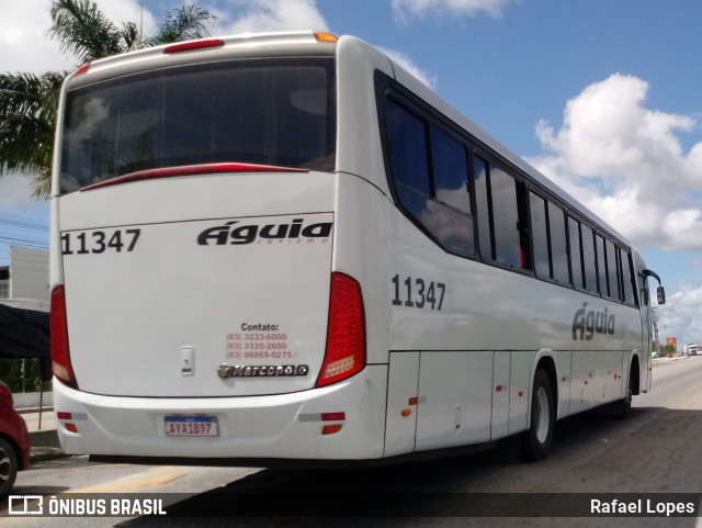 Águia Turismo 11347 na cidade de Campina Grande, Paraíba, Brasil, por Rafael Lopes. Número da foto: #10114135.