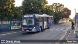 Transportes Capellini 19.085 na cidade de Campinas, São Paulo, Brasil, por Thiago Silva. Número da foto: #10113105.