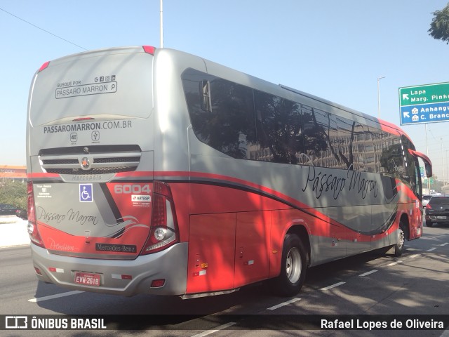 Empresa de Ônibus Pássaro Marron 6004 na cidade de São Paulo, São Paulo, Brasil, por Rafael Lopes de Oliveira. ID da foto: 10115529.