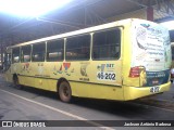 Solemar Expresso 46-202 na cidade de São Luís, Maranhão, Brasil, por Jackson Antônio Barbosa. Número da foto: #10115624.