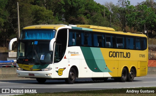 Empresa Gontijo de Transportes 17185 na cidade de Ribeirão Vermelho, Minas Gerais, Brasil, por Andrey Gustavo. Número da foto: #10123475.