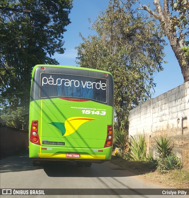 Pássaro Verde 15143 na cidade de Ouro Preto, Minas Gerais, Brasil, por Crislye Pilly. Número da foto: #10123897.