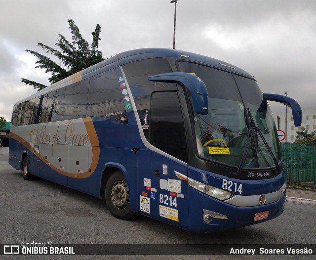 Bia Turismo > Aellos de Ouro 8214 na cidade de São Paulo, São Paulo, Brasil, por Andrey  Soares Vassão. Número da foto: #10128720.