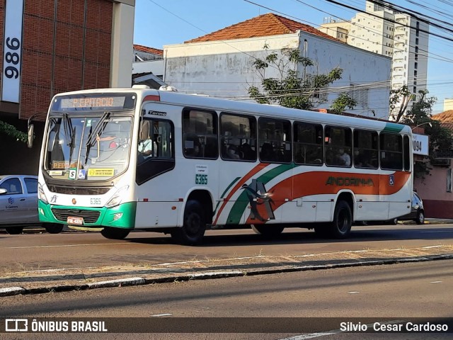 Empresa de Transportes Andorinha 6365 na cidade de Presidente Prudente, São Paulo, Brasil, por Silvio  Cesar Cardoso. ID da foto: 10128074.