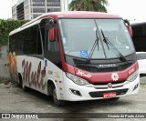 Mult Fretamento e Turismo 8700 na cidade de São Paulo, São Paulo, Brasil, por Vicente de Paulo Alves. Número da foto: #10127809.