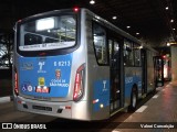 Transwolff Transportes e Turismo 6 6213 na cidade de São Paulo, São Paulo, Brasil, por Valnei Conceição. Número da foto: #:id.
