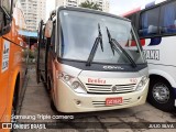 Transportadora Turística Benfica 950 na cidade de São Bernardo do Campo, São Paulo, Brasil, por JULIO SILVA. ID da foto: :id.