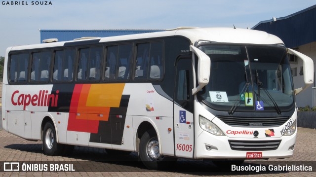 Transportes Capellini 16005 na cidade de Hortolândia, São Paulo, Brasil, por Busologia Gabrielística. Número da foto: #10137026.