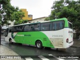 Pássaro Verde 29020 na cidade de Belo Horizonte, Minas Gerais, Brasil, por Douglas Célio Brandao. Número da foto: #10137076.