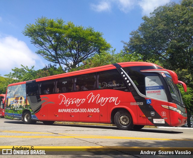 Empresa de Ônibus Pássaro Marron 5829 na cidade de São Paulo, São Paulo, Brasil, por Andrey  Soares Vassão. Número da foto: #10058943.