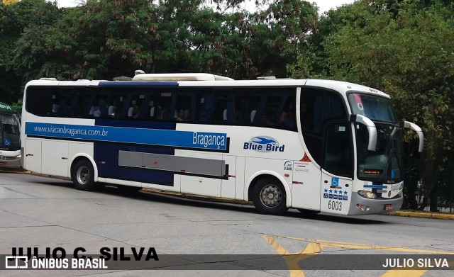 Auto Viação Bragança 6003 na cidade de São Paulo, São Paulo, Brasil, por JULIO SILVA. Número da foto: #10057383.