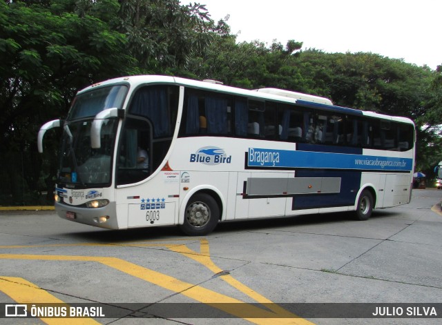 Auto Viação Bragança 6003 na cidade de São Paulo, São Paulo, Brasil, por JULIO SILVA. ID da foto: 10057366.