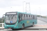 Transporte Coletivo Estrela 1229 na cidade de Florianópolis, Santa Catarina, Brasil, por RM Busologia. Número da foto: #:id.
