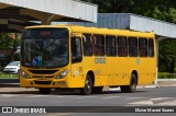 AVOA - Auto Viação Ourinhos Assis 422263 na cidade de Assis, São Paulo, Brasil, por Eliziar Maciel Soares. Número da foto: #:id.