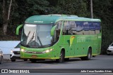 Pássaro Verde 15134 na cidade de Viçosa, Minas Gerais, Brasil, por Julio Cesar Euzebio Alves. Número da foto: #:id.