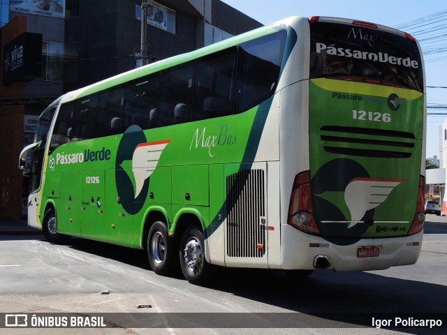 Pássaro Verde 12126 na cidade de Divinópolis, Minas Gerais, Brasil, por Igor Policarpo. ID da foto: 10068982.