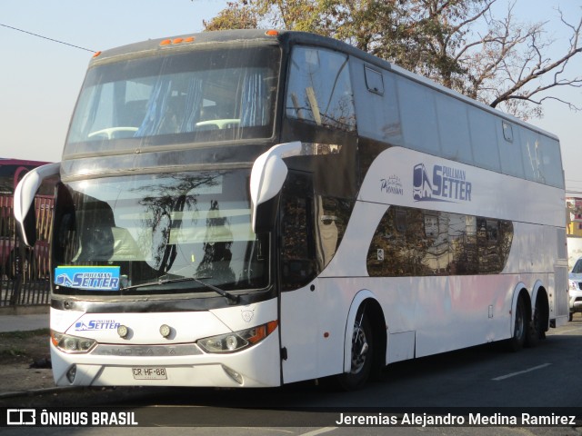 Pullman Setter  na cidade de Santiago, Santiago, Metropolitana de Santiago, Chile, por Jeremias Alejandro Medina Ramirez. Número da foto: #10068815.