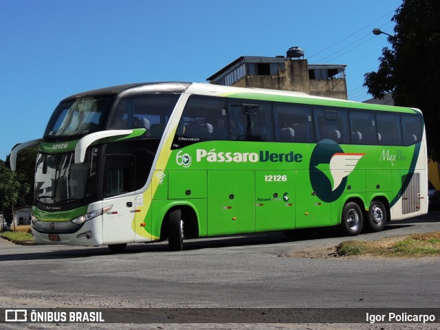 Pássaro Verde 12126 na cidade de Divinópolis, Minas Gerais, Brasil, por Igor Policarpo. ID da foto: 10068985.