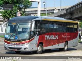 Transportadora Tinguá RJ 156.247 na cidade de Rio de Janeiro, Rio de Janeiro, Brasil, por André Almeida. Número da foto: #:id.