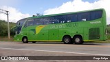 Pássaro Verde 12125 na cidade de Formiga, Minas Gerais, Brasil, por Diego Felipe. Número da foto: #10072591.