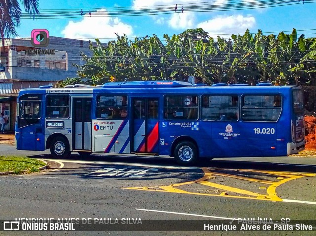 Transportes Capellini 19.020 na cidade de Paulínia, São Paulo, Brasil, por Henrique Alves de Paula Silva. Número da foto: #10074964.