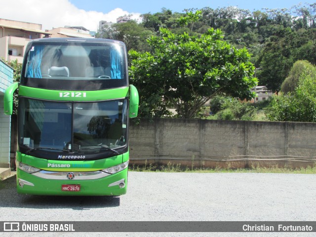 Pássaro Verde 12121 na cidade de Viçosa, Minas Gerais, Brasil, por Christian  Fortunato. ID da foto: 10138432.