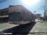 Viação Nossa Senhora Conquistadora 528 na cidade de Pelotas, Rio Grande do Sul, Brasil, por Patrick Coutinho Lemos. Número da foto: #:id.