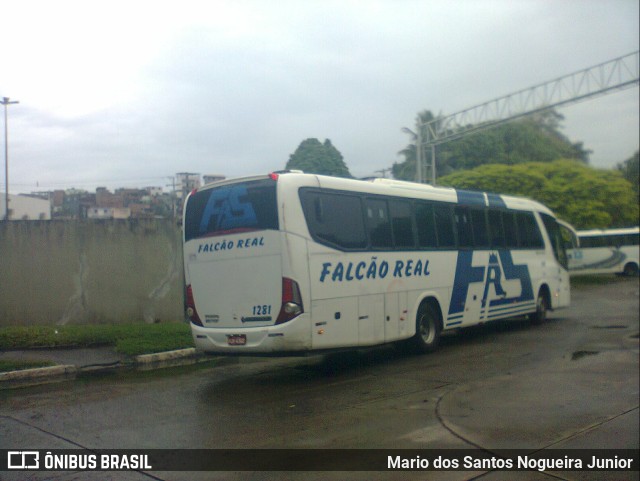 Falcão Real 1281 na cidade de Salvador, Bahia, Brasil, por Mario dos Santos Nogueira Junior. Número da foto: #10169181.