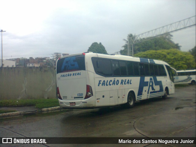 Falcão Real 1281 na cidade de Salvador, Bahia, Brasil, por Mario dos Santos Nogueira Junior. ID da foto: 10169181.