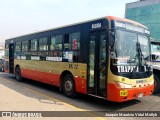 El Anconero 109 na cidade de Carabayllo, Lima, Lima Metropolitana, Peru, por Joaquín Mauricio Vidal Mollyk. Número da foto: #10167762.