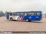 Viação Pirajuçara 11.603 na cidade de Embu das Artes, São Paulo, Brasil, por Viação Pirajuçara Ltda Pirajuçara. Número da foto: #:id.