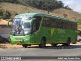 Pássaro Verde 15129 na cidade de Teixeiras, Minas Gerais, Brasil, por Julio Cesar Euzebio Alves. Número da foto: #:id.