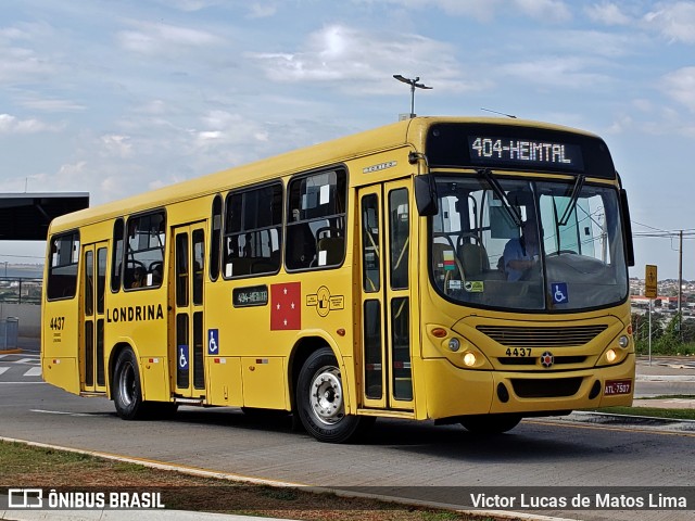 TCGL - Transportes Coletivos Grande Londrina 4437 na cidade de Londrina, Paraná, Brasil, por Victor Lucas de Matos Lima. Número da foto: #10177493.
