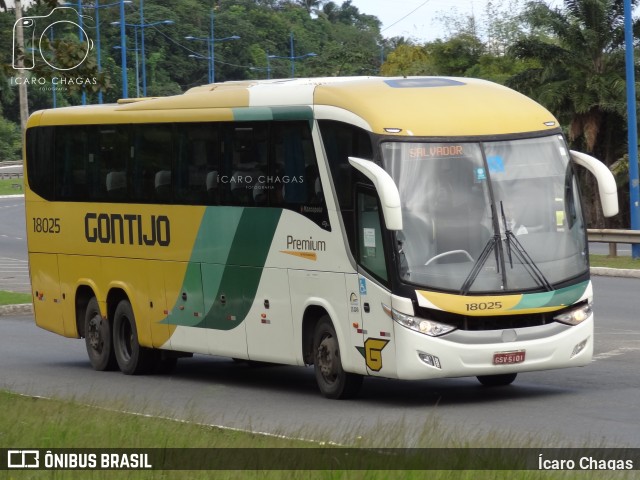 Empresa Gontijo de Transportes 18025 na cidade de Salvador, Bahia, Brasil, por Ícaro Chagas. Número da foto: #10175785.