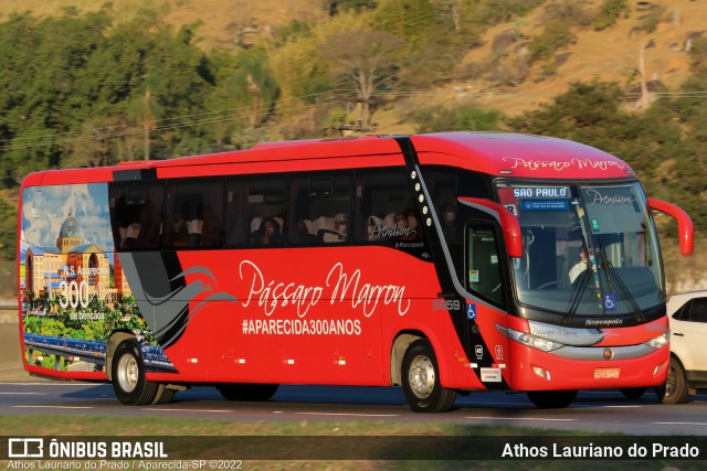 Empresa de Ônibus Pássaro Marron 5959 na cidade de Aparecida, São Paulo, Brasil, por Athos Lauriano do Prado. ID da foto: 10177135.