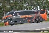 Catedral Turismo 20316 na cidade de Limeira, São Paulo, Brasil, por Jacy Emiliano. Número da foto: #:id.