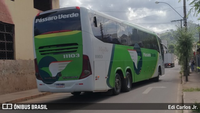 Pássaro Verde 11103 na cidade de Barão de Cocais, Minas Gerais, Brasil, por Edi Carlos Jr.. ID da foto: 10183343.