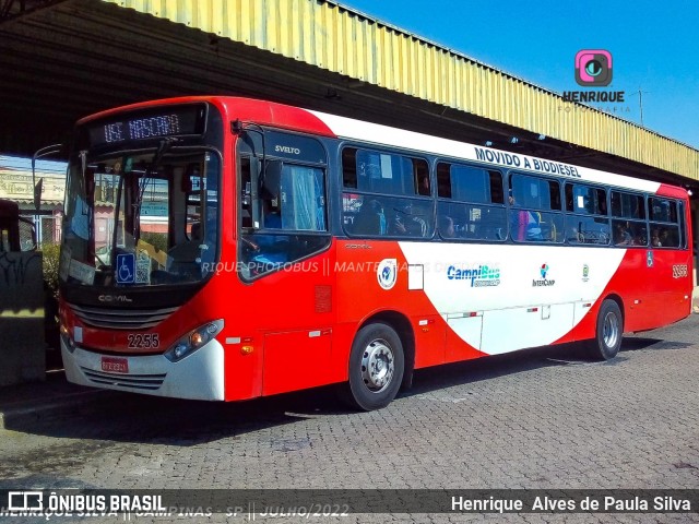 Expresso CampiBus 2255 na cidade de Campinas, São Paulo, Brasil, por Henrique Alves de Paula Silva. ID da foto: 10184270.