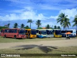 Biel Turismo 8714 na cidade de Goiana, Pernambuco, Brasil, por Edjunior Sebastião. Número da foto: #:id.