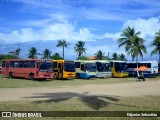 Biel Turismo 8714 na cidade de Goiana, Pernambuco, Brasil, por Edjunior Sebastião. ID da foto: :id.