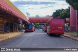 Viação Sorriso de Toledo 95610 na cidade de Toledo, Paraná, Brasil, por Carlos Campos. Número da foto: #:id.