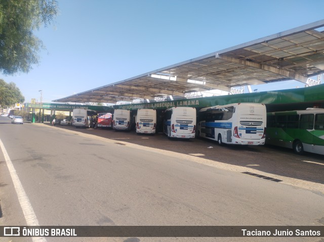 Terminais Rodoviários e Urbanos OLíMPIA -SP na cidade de Olímpia, São Paulo, Brasil, por Taciano Junio Santos. Número da foto: #10191507.