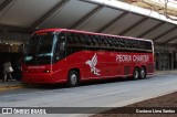 Ônibus Particulares 211 na cidade de New York, New York, Estados Unidos, por Gustavo Lima Santos. Número da foto: #10193097.