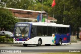 BR7 Mobilidade 2289 na cidade de São Bernardo do Campo, São Paulo, Brasil, por Ricardo Luiz. Número da foto: #10195256.