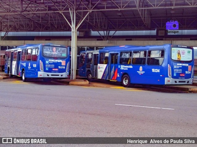 Transportes Capellini 19.018 na cidade de Paulínia, São Paulo, Brasil, por Henrique Alves de Paula Silva. ID da foto: 10142264.